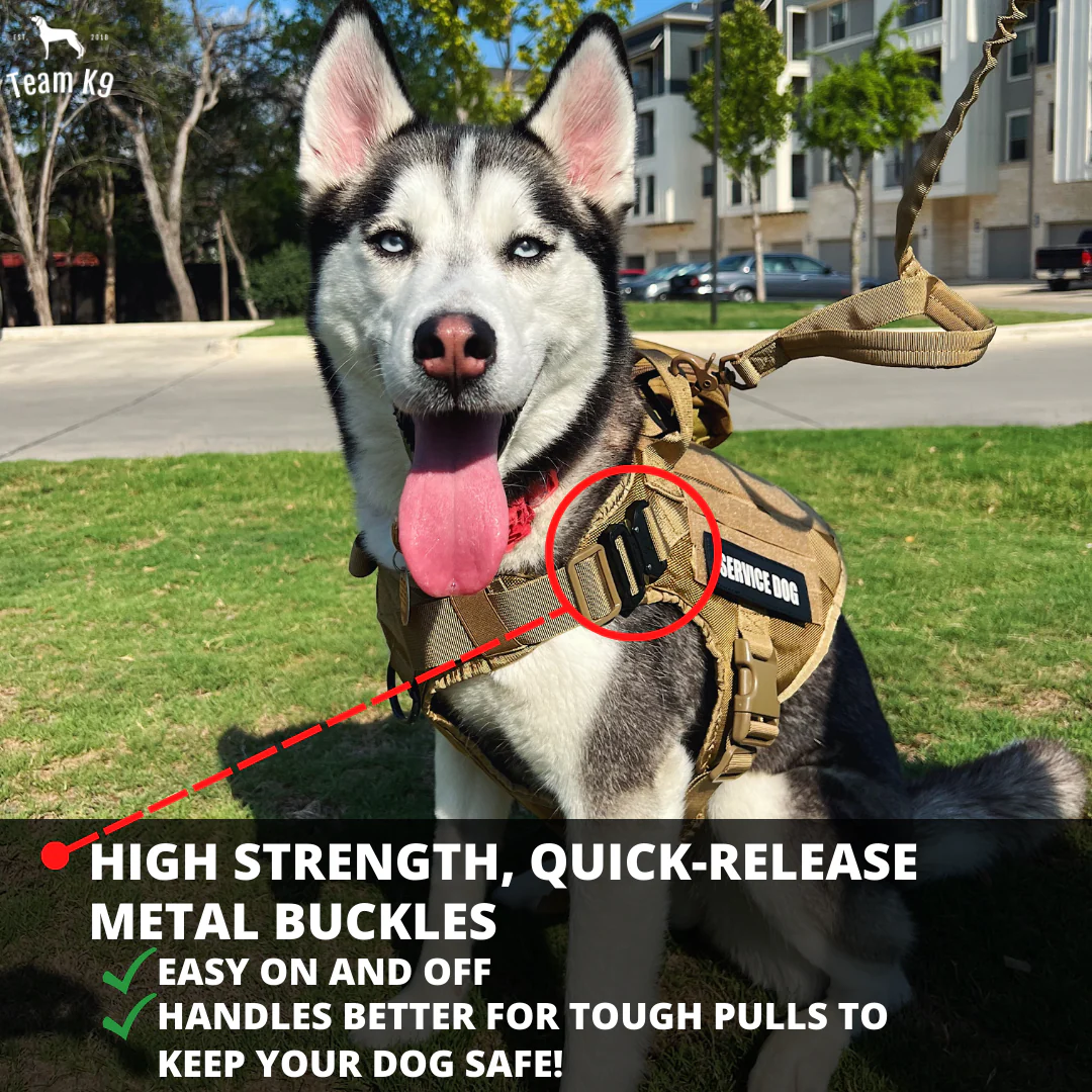 Tactical Dog Harness System All-In-One Training Bundle No-Pull Harness MOLLE Pouches Travel Water Bowl Holiday 2025 - Image 21