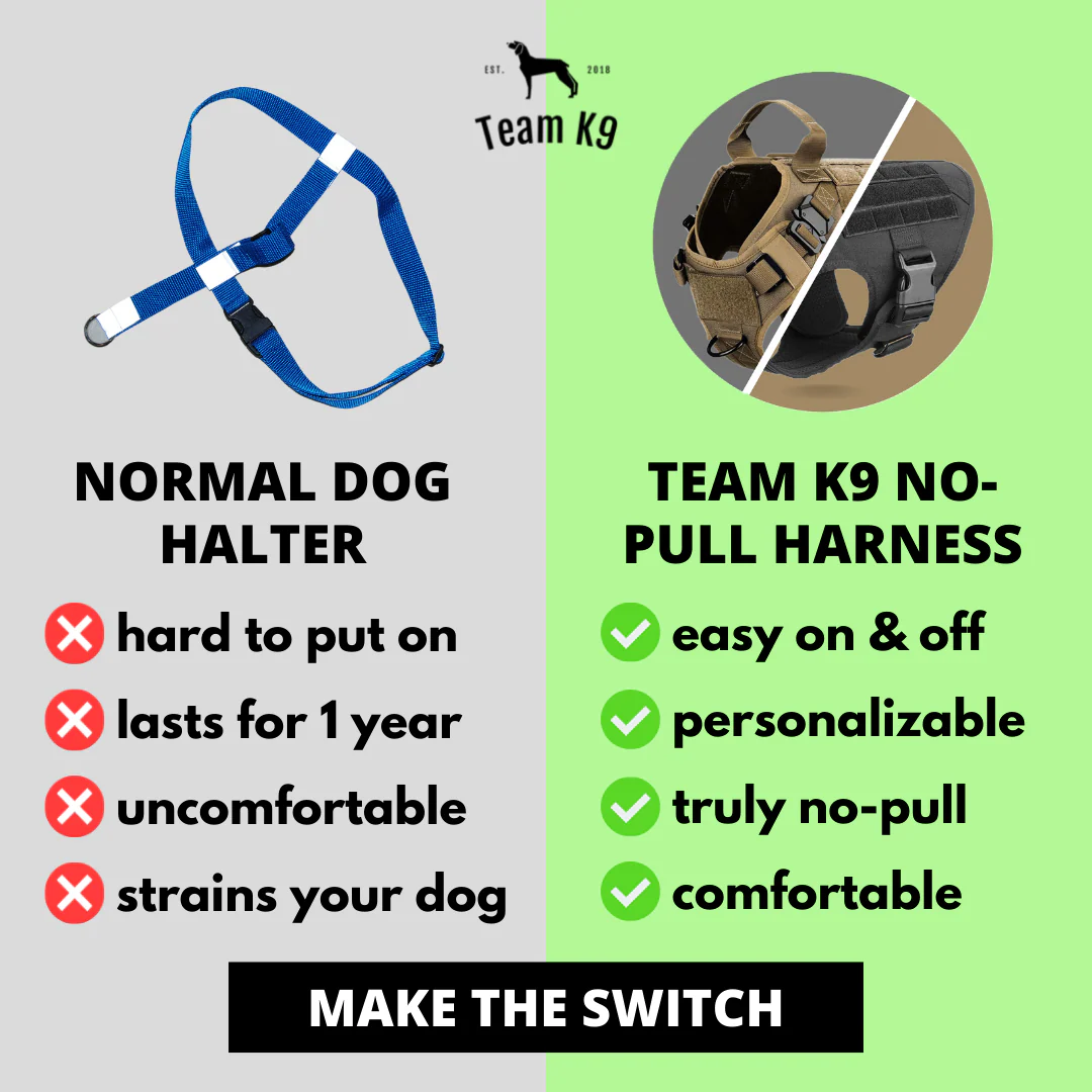 Tactical Dog Harness System All-In-One Training Bundle No-Pull Harness MOLLE Pouches Travel Water Bowl Holiday 2025 - Image 30
