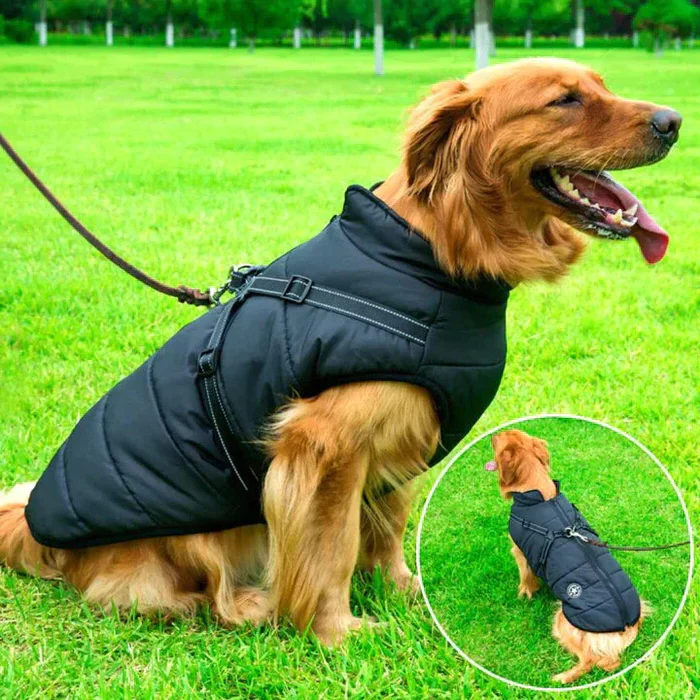 Waterproof Dog Jacket Sherpa Lined Built In Harness - Image 4